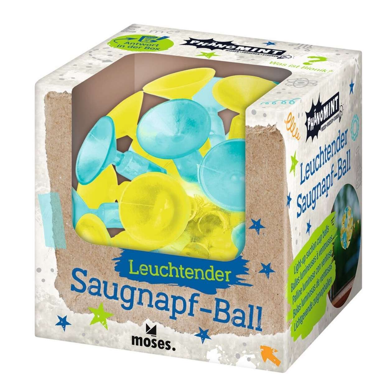 PhänoMINT Leuchtender Saugnapf-Ball